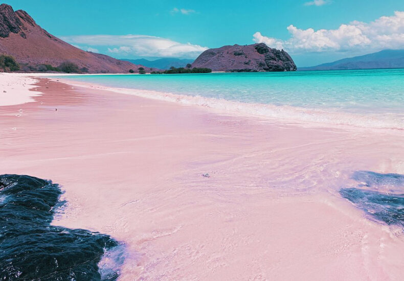 Pink Beach in Komodo Island Crowned the Most Beautiful Beach in the World
