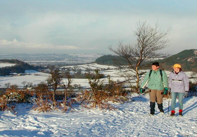 A Winter Journey Through Cheshire: Walking the Sandstone Trail Between Two Timeless Pubs