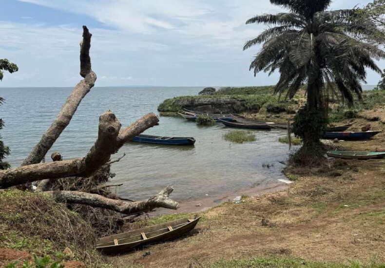 Inside the Mystical Ssese Islands, Africa’s Hidden Paradise on Lake Victoria
